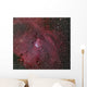 Ngc 2264 Cone and Wall Decal