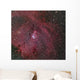 Ngc 2264 Cone and Wall Decal