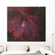 Ngc 2264 Cone and Wall Decal