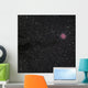 Cocoon Nebula Wall Decal Design 1