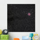 Cocoon Nebula Wall Decal Design 1