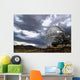 Hobby-Eberly Telescope Observatory Dome Wall Decal