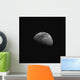 Gibbous Moon Wall Decal