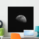 Gibbous Moon Wall Decal
