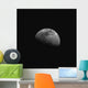Gibbous Moon Wall Decal