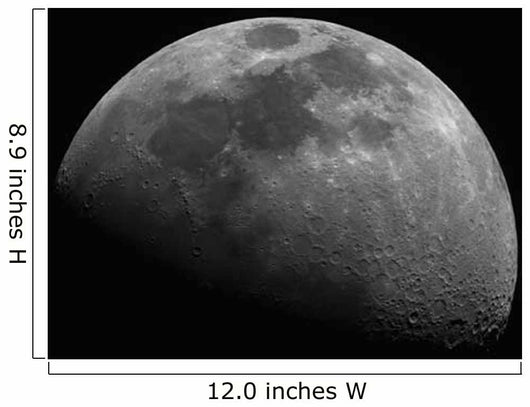 Gibbous Moon Wall Decal