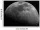 Gibbous Moon Wall Decal