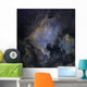 North America Nebula Wall Decal Design 1