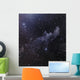 Witch Head Nebula Wall Decal