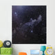 Witch Head Nebula Wall Decal