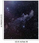Witch Head Nebula Wall Decal