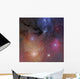 Star Forming Region Rho Ophiuchus Wall Decal