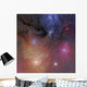 Star Forming Region Rho Ophiuchus Wall Decal