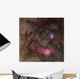 Lagoon Nebula and Trifid Wall Decal