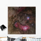 Lagoon Nebula and Trifid Wall Decal