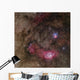 Lagoon Nebula and Trifid Wall Decal