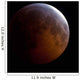 Lunar Eclipse Wall Decal Design 2