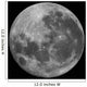 Supermoon March 19 2011 Wall Decal