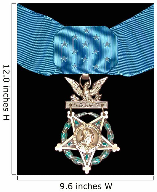 Vector Illustration Medal Honor Wall Decal