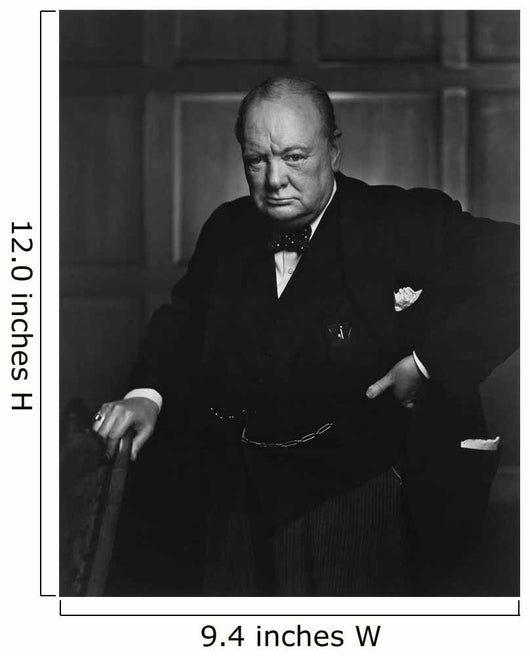 Digitally Restored Portrait Sir Wall Decal