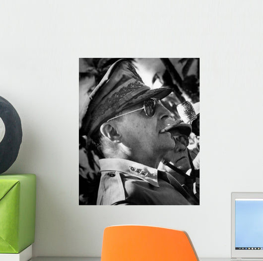Digitally Restored Vector Portrait Wall Decal Design 65