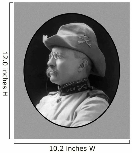 Digitally Restored Vector Portrait Wall Decal Design 59