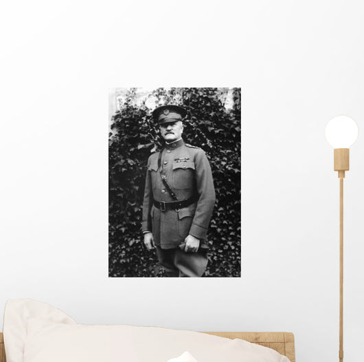 Digitally Restored Vector Portrait Wall Decal Design 48