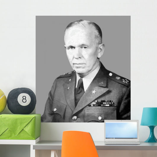 Digitally Restored Vector Portrait Wall Decal Design 46
