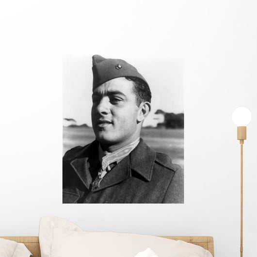 Digitally Restored Vector Portrait Wall Decal Design 43