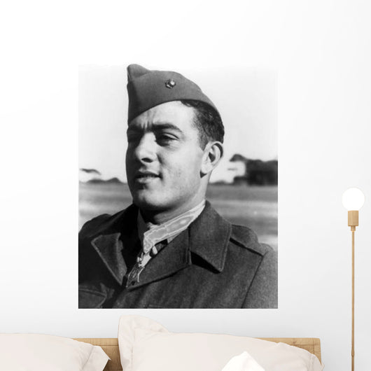 Digitally Restored Vector Portrait Wall Decal Design 43