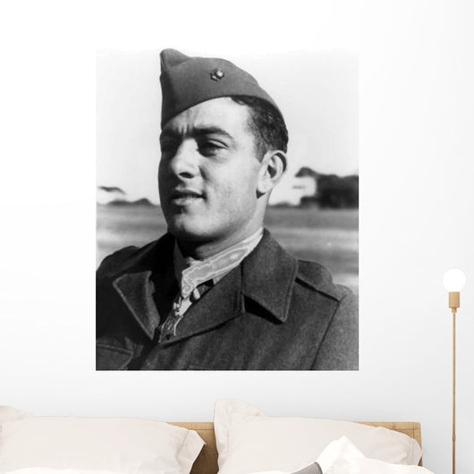 Digitally Restored Vector Portrait Wall Decal Design 43