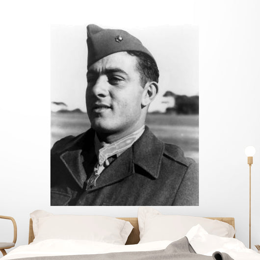 Digitally Restored Vector Portrait Wall Decal Design 43