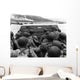 Digitally Restored Vector Photo Wall Decal Design 11