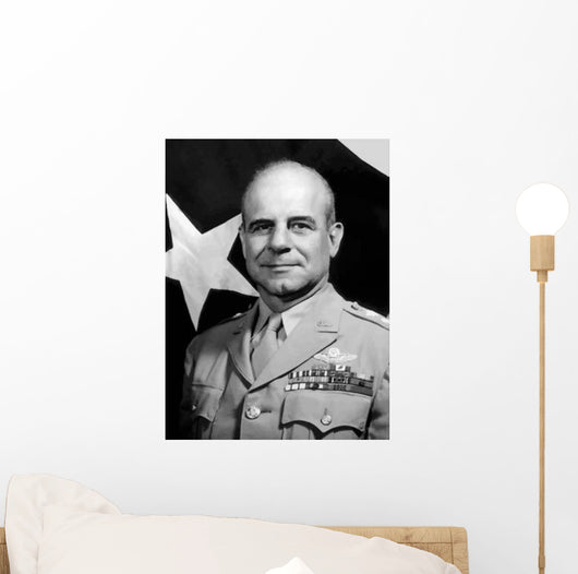 Digitally Restored Vector Portrait Wall Decal Design 36