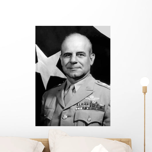 Digitally Restored Vector Portrait Wall Decal Design 36