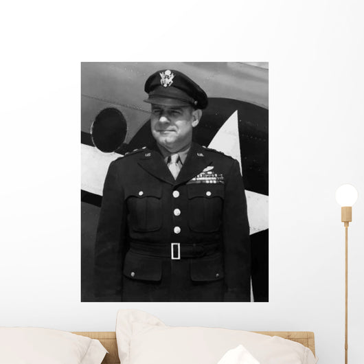 Digitally Restored Vector Portrait Wall Decal Design 35