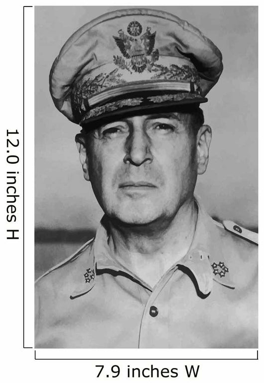 Digitally Restored Vector Portrait Wall Decal Design 31