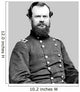 Digitally Restored Vector Portrait Wall Decal Design 24