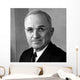 Digitally Restored Vector Portrait Wall Decal Design 21