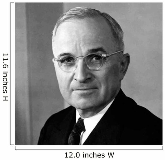 Digitally Restored Vector Portrait Wall Decal Design 21
