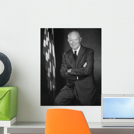 Digitally Restored Vector Portrait Wall Decal Design 14