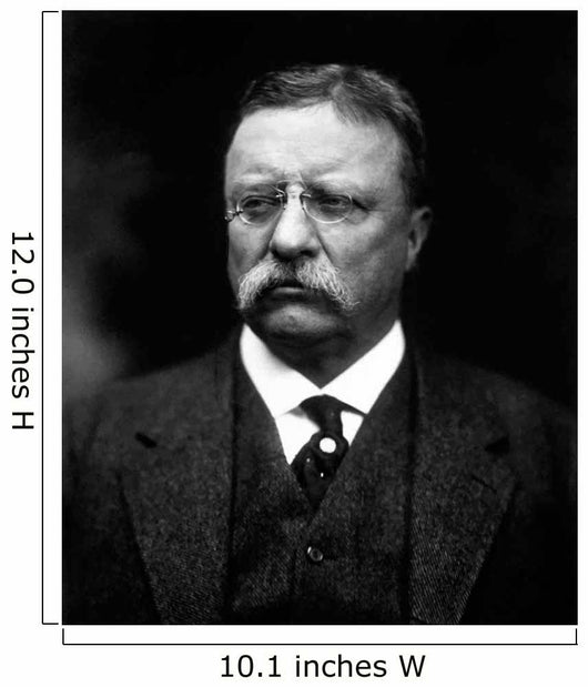 Digitally Restored Vector Portrait Wall Decal Design 11