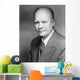 Digitally Restored Vector Portrait Wall Decal Design 10
