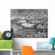 Digitally Restored Civil War Wall Decal Design 10