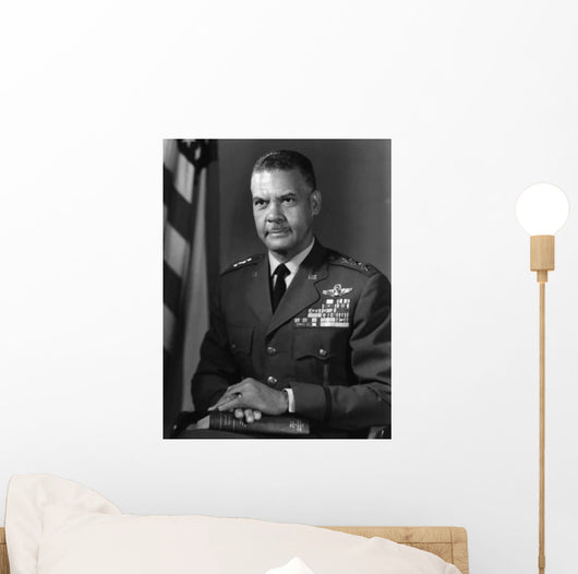 Digitally Restored Vector Photograph Wall Decal Design 1