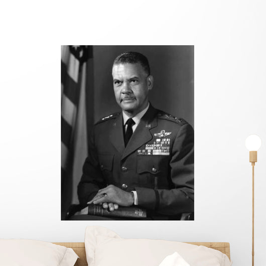 Digitally Restored Vector Photograph Wall Decal Design 1