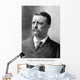 Vintage American History Print Wall Decal Design 23