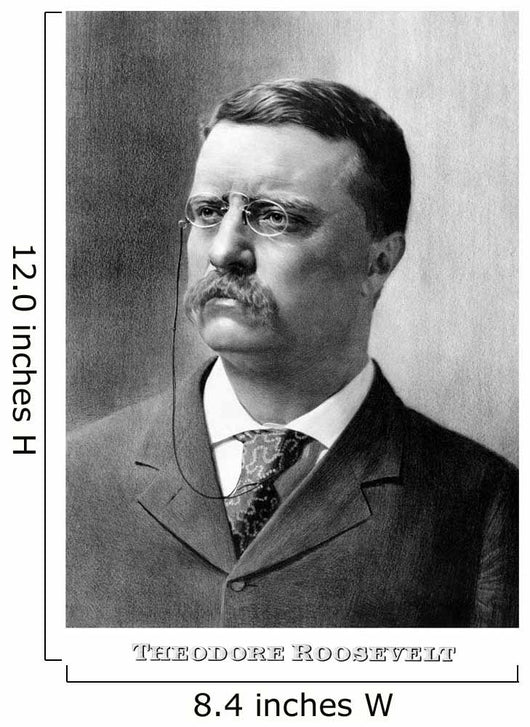 Vintage American History Print Wall Decal Design 23