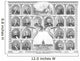 Vintage American History Print Wall Decal Design 19