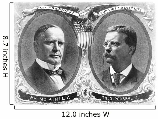 Vintage Presidential Election Poster Wall Decal